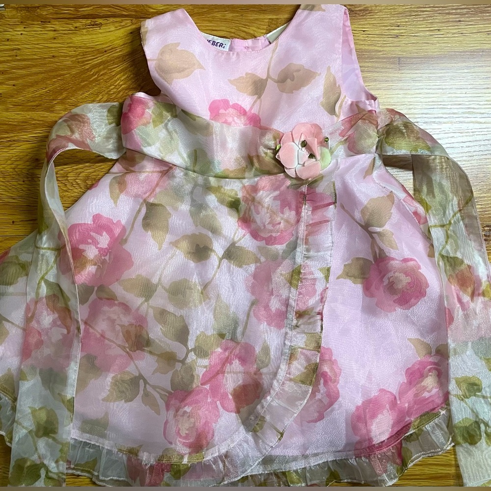Beautiful EUC BlueBeri Flower Dress 18 months